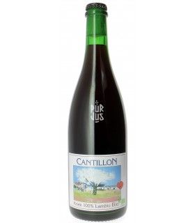 Bière Kriek 100% Lambic Bio 2026 bottling - Brasserie Cantillon