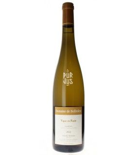 Vigne en Foule - 2023 - Domaine de Bellivière
