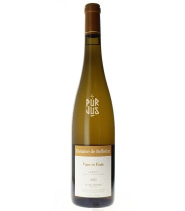 Vigne en Foule - 2023 - Domaine de Bellivière