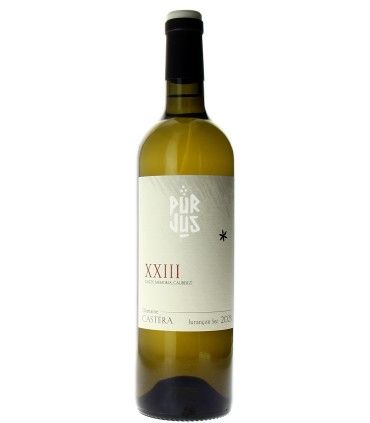XXIII - 2023 - Domaine Castéra