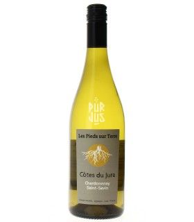 Chardonnay Saint Savin - 2023 - Les Pieds sur Terre