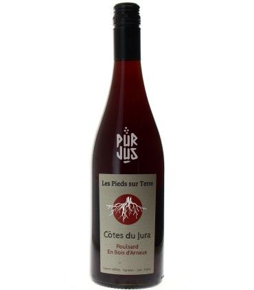Poulsard En Bois d'Arnaux - 2025 - Les Pieds sur Terre