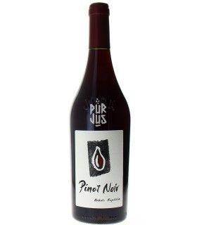 Pinot Noir - 2023 - Kevin Bouillet