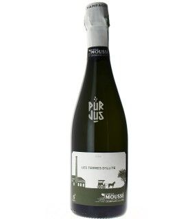 Les Terres d'Illite - 2020 - Champagne Moussé