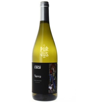 Terra - 2024 - Vignoble de l’Ecu