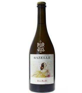 Gazelle - 2024 - Maison Advinam