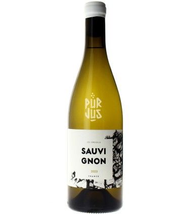 Sauvignon - 2023 - Les Croisille