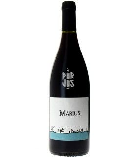 Marius - 2022 - Le Bout du Monde