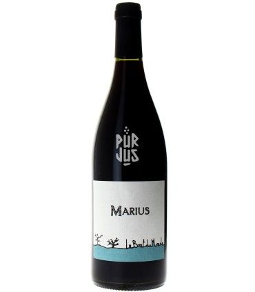 Marius - 2022 - Le Bout du Monde