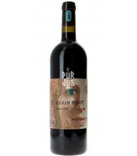Grain Pinot "Charrat" - 2018 - Marie Thérèse Chappaz