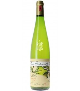 Le verre est dans le fruit - 2018 - Bruno Schueller