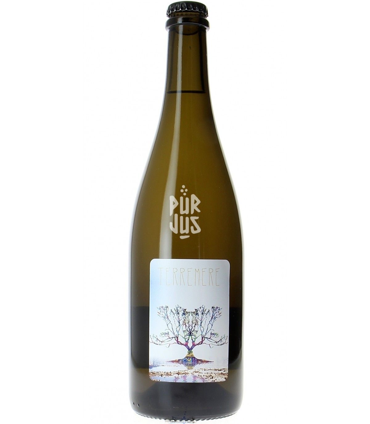 Terremere - 2019 - Gregoire Perron - La Combe Aux Reves - Cave Pur Jus