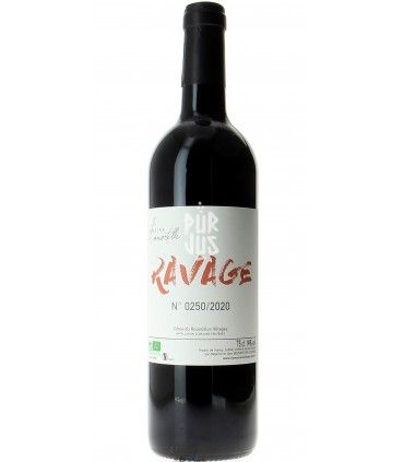 Ravage - 2020 - Delphine et Yann Bouvier