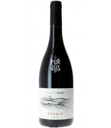 Régnié - 2019 - Antoine Sunier