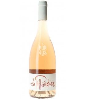 Rosé - 2023 - Olivier Bellanger