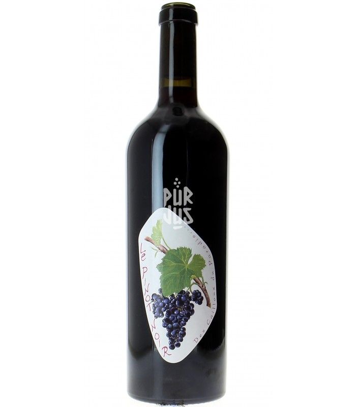 Le Pinot Noir - 2019 - Claude Courtois