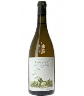 Riesling - 2019 - Felix Sebastian