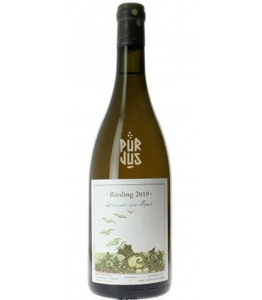 Riesling - 2019 - Felix Sebastian