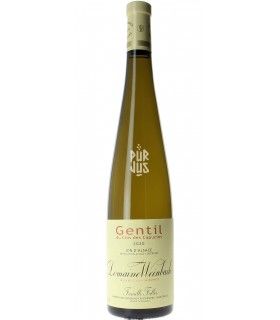 Gentil - 2020 - Catherine Faller
