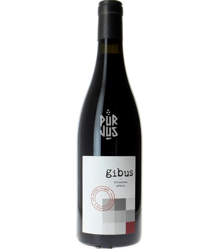 Gibus - 2019 - Jean Baptiste Menigoz