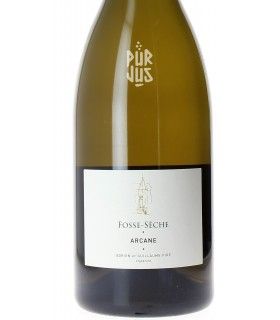 Arcane - 2022 - Adrien et Guillaume Pire - Magnum
