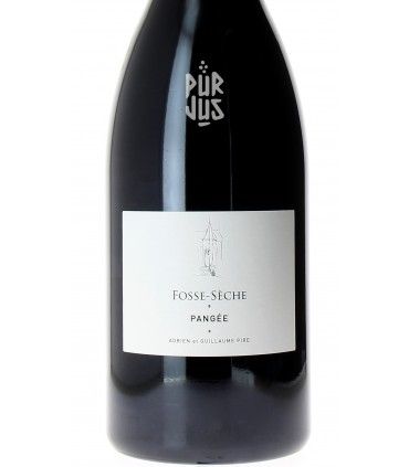 Pangée - 2022 - Adrien et Guillaume Pire - Magnum