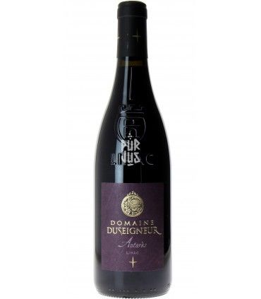 Antarès - 2022 - Domaine Duseigneur