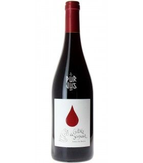 La Goutte du Seigneur - 2023 - Domaine Duseigneur