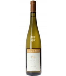 L'Effraie - 2022 - Eric Nicolas