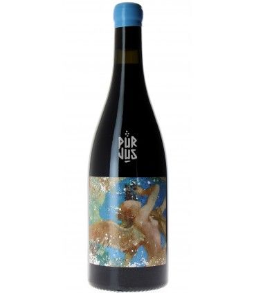 Ange - 2020 - Vignoble de l’Ecu