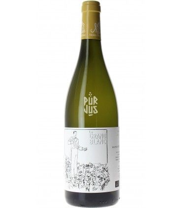 Le Grand Blanc - 2022 - Jean Michel Stephan