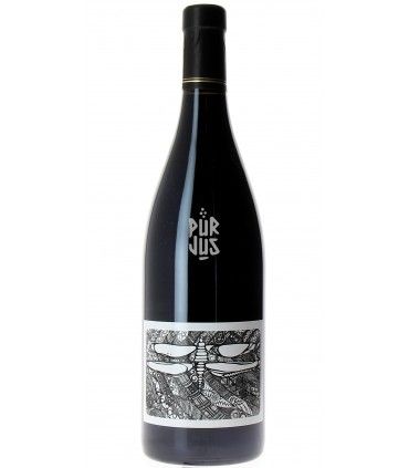 100% - 2023 - Julien Courtois