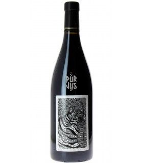 Ancestral - 2020 - Julien Courtois