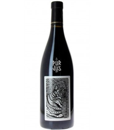 Ancestral - 2020 - Julien Courtois