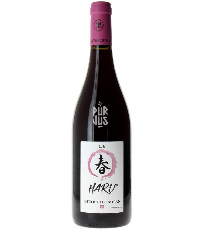 Haru - 2021 - Théophile Milan