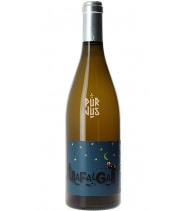 Trafalgar - 2023 - Marc Castan