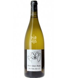 Petit Ours Blanc - 2022 - Matthieu Barret