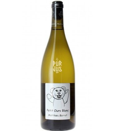 Petit Ours Blanc - 2022 - Matthieu Barret