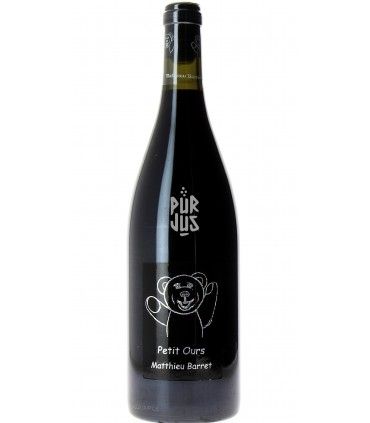 Petit Ours - 2024 - Matthieu Barret