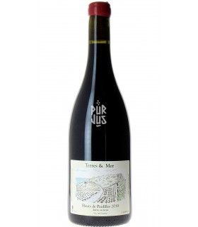 Hauts de Paulilles en Jarre - 2019 - Didier Mouton