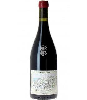 Hauts de Paulilles en Cuve - 2019 - Didier Mouton