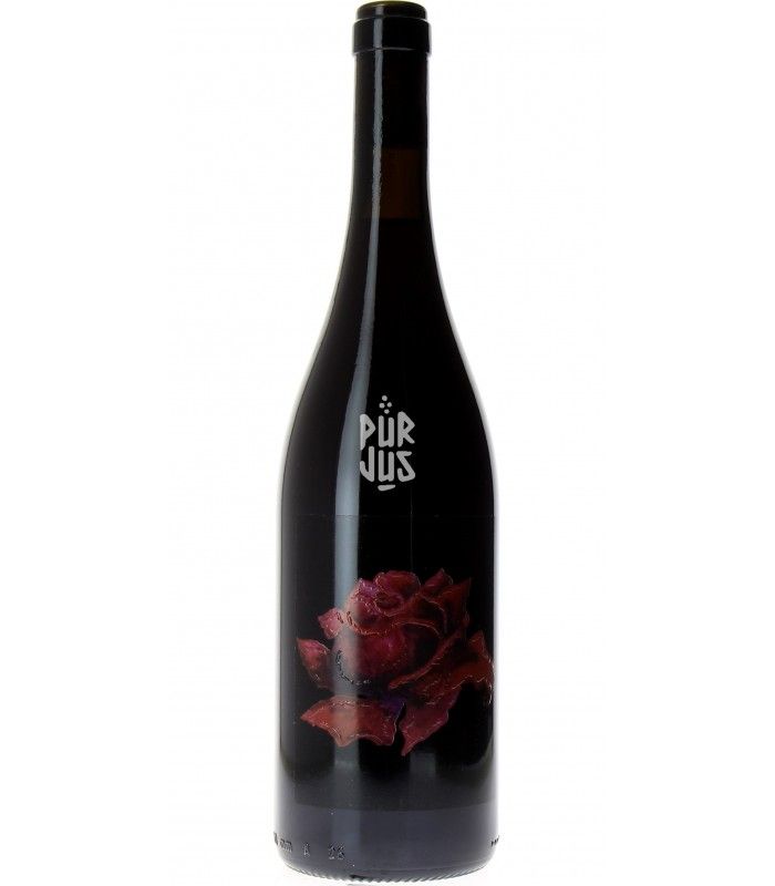 Gambrinus - 2017 - Clémentine Bouvéron et Gian Marco Antonuzi