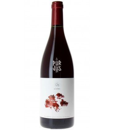 Oeillet Rouge(s) - 2023 - Nicolas Renaud