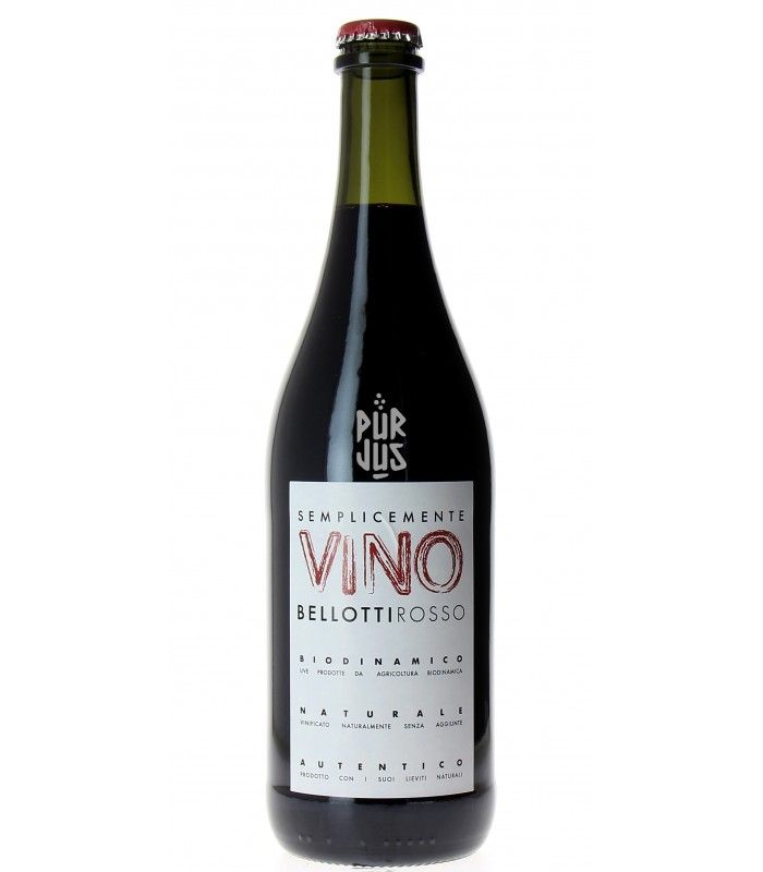 Semplicemente Vino Rosso - 2021 - Ilaria Bellotti