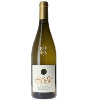 Arcese - 2021 - Alessandra Bera