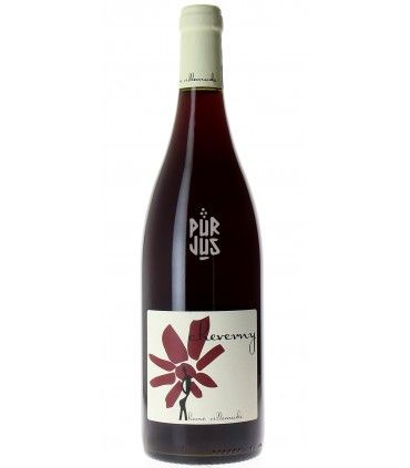 Cheverny Rouge - 2024 - Hervé Villemade