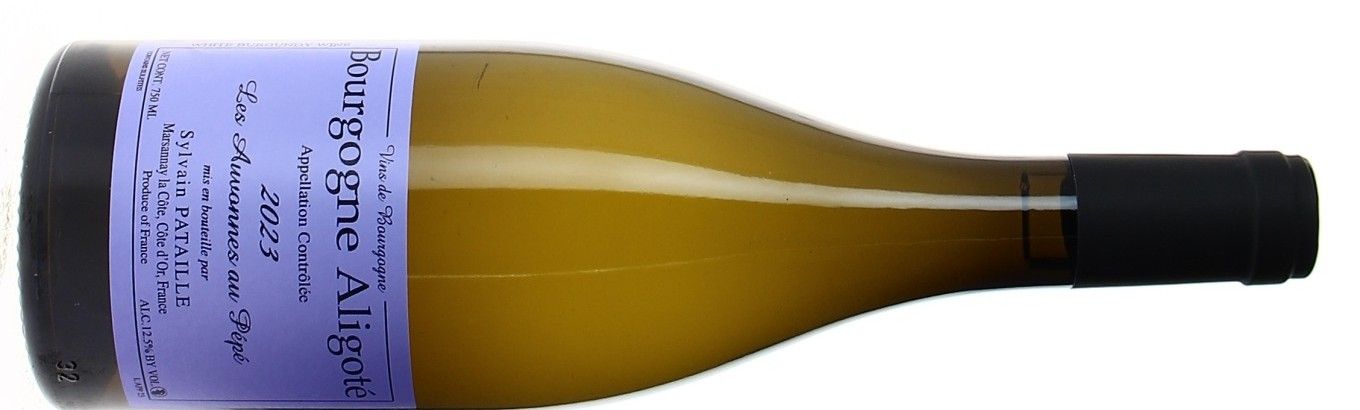 DOMAINE SYLVAIN PATAILLE